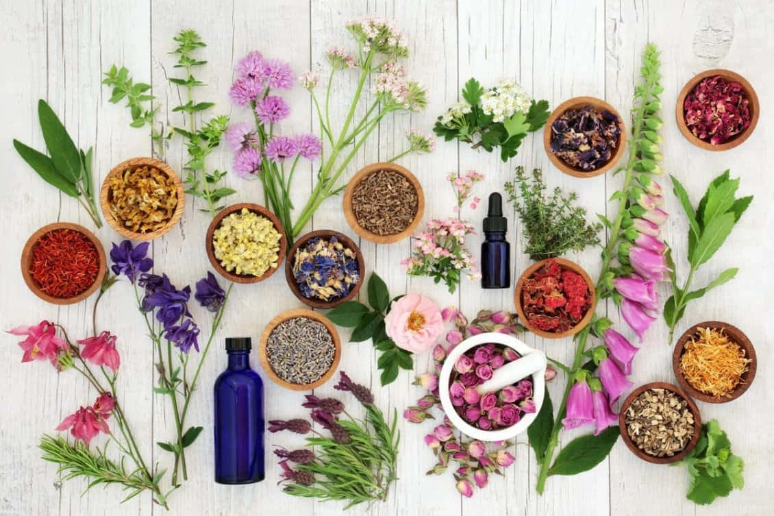 Nature's Treasures