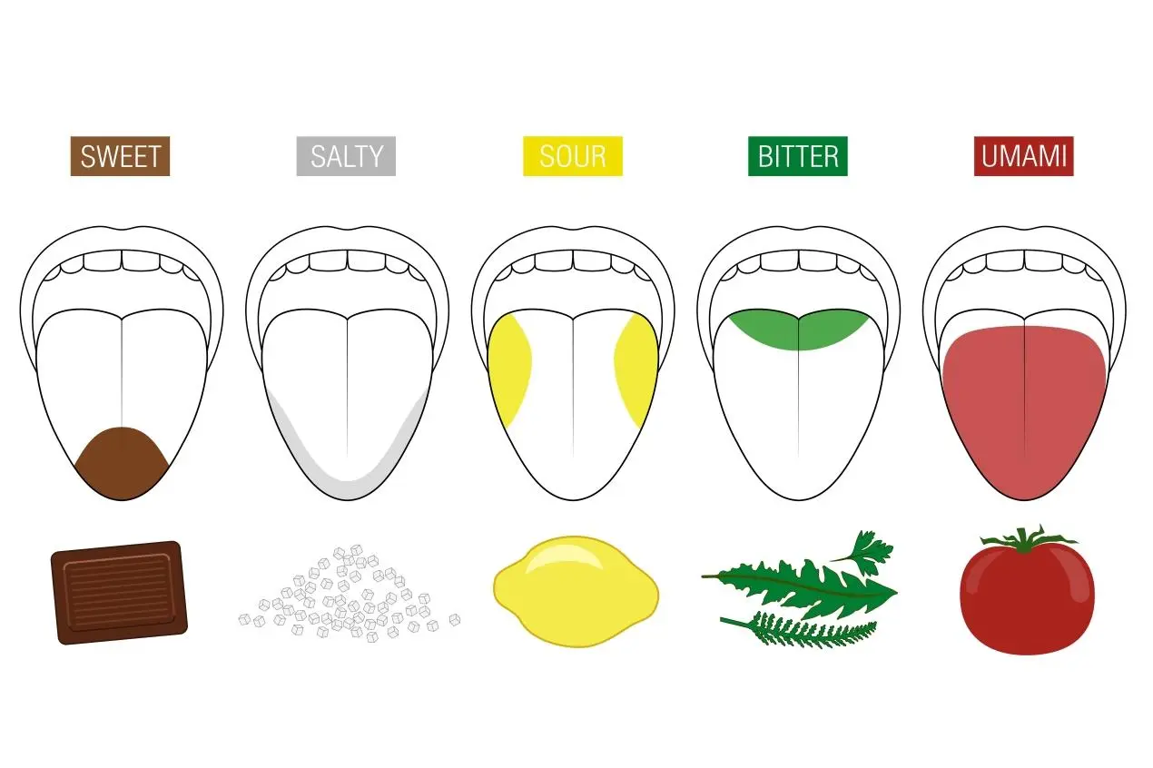 Science of Taste